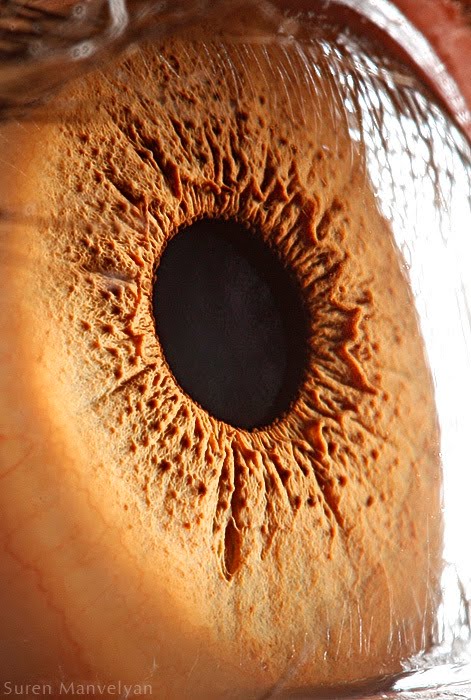 Close Up Human Eyes